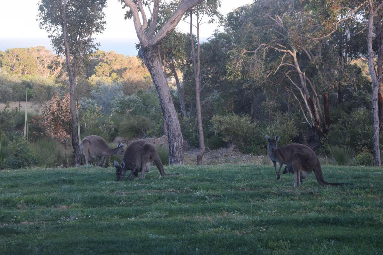 Eagle Bay House Bed & Breakfast Dunsborough Eksteriør bilde